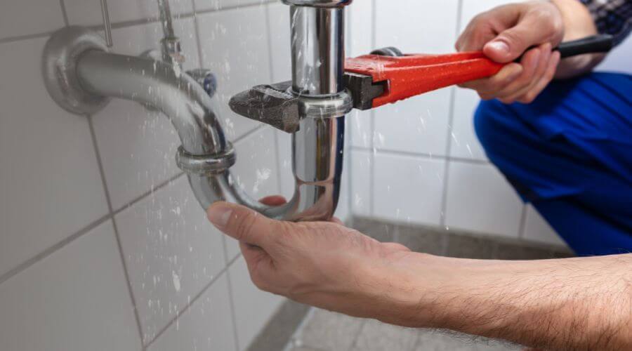 Professional Leak Detection services in Trimont, MN